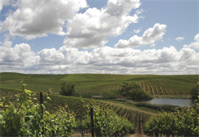 2018 Recherché Reserve Pinot Noir - Donum Estate Vineyard - Los Carneros