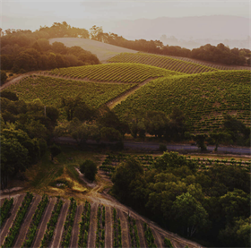 2022 Recherché Reserve Pinot Noir - Gary's Vineyard - Santa Lucia Highlands