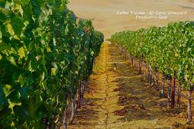 2018 Pinot Noir - El Coro Vineyard - Petaluma Gap