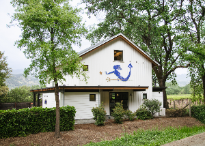 Area Image