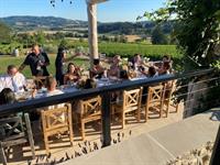 Field & Vine Dinner in the vineyard -$165/pp
