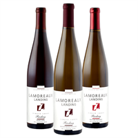 90 Point Riesling Trio