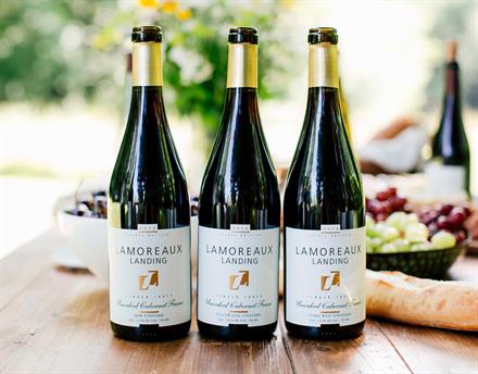 Single Vineyard Cabernet Franc Experience
