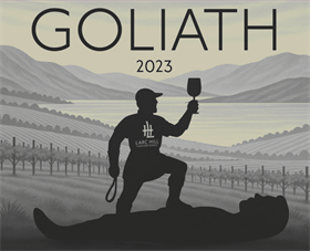 2023 David's Goliath