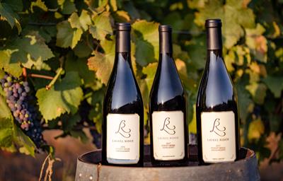 Vertical Collection: Menefee Vineyard Reserve Pinot Noirs, Vintages 2017-2019