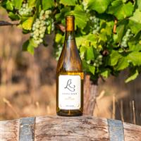 2023 Estate Pinot Gris: NEW RELEASE