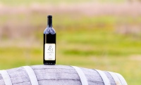 2018 Reserve Syrah: Member Exclusive Library
