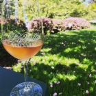 LaVelle Logo Wine Glass