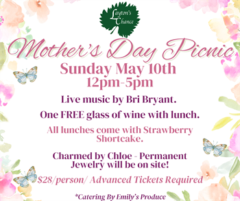 Mother's Day Picnic 2026- Roasted Veggie Quiche w/Seasonal Salad