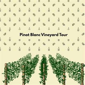 Pinot Blanc Vineyard Tour Aug 14