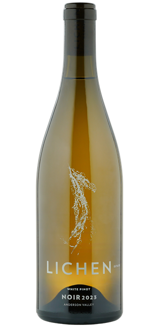 2024 White Pinot