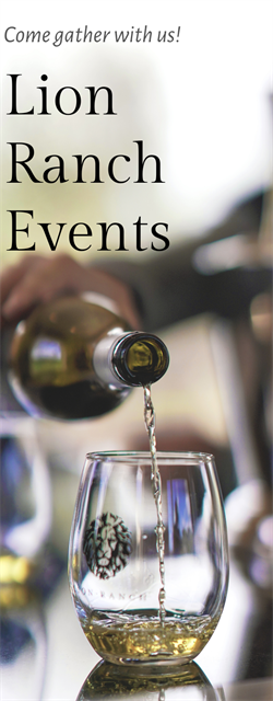 Create Your Event