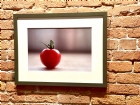 Framed Art: First Tomato of the Season