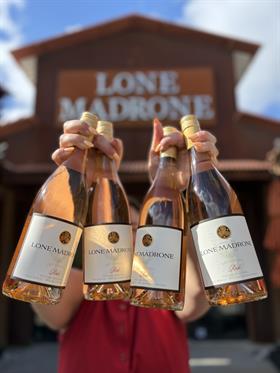 2025 Old Oak Rose
