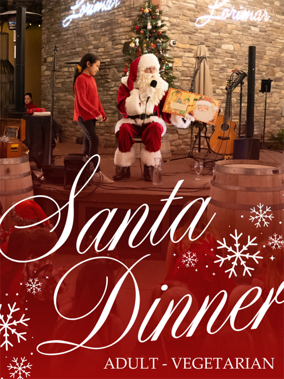 Santa Dinner - Adult - Vegetarian