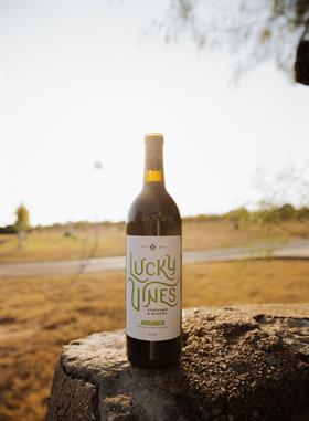 2018 Aglianico
