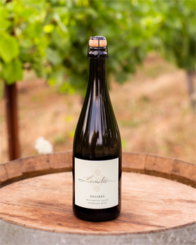 2024 Sauv Blanc