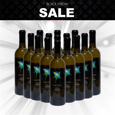 2024 Ludicrous Black Friday Case for Case Sale