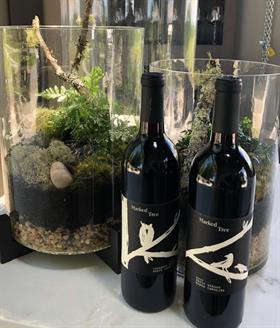 Sunday, December 20th Terrarium Class