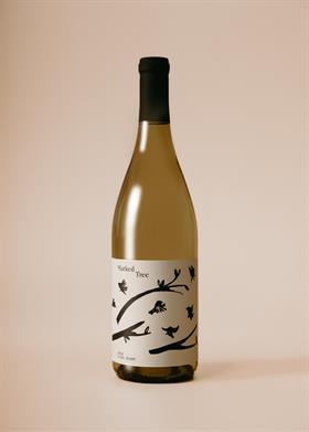 2024 Vidal Blanc