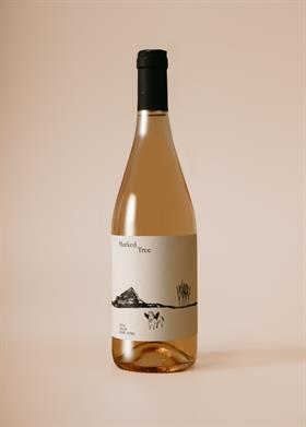 2024 Chloe Rosé
