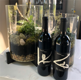 Sunday, February 22nd Terrarium Class