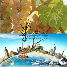 Wines Around the World  - Viognier Around the World