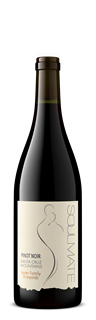 2013 SOULMATE PINOT NOIR-LESTER FAMILY