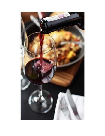 Food and Wine Tasting