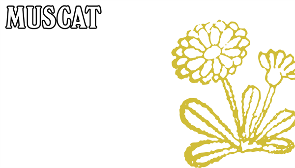 2023 Muscat