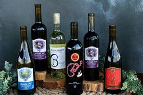 Winemaker's Choice - Mixed - 12 bottle
