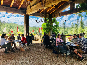 Area Image