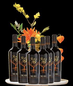2021 Root 49 The Red 6 PACK SPECIAL