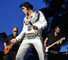 ELVIS Tribute - Lawn 5/13/23