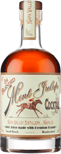 Bourbon Mint Julep Cocktail