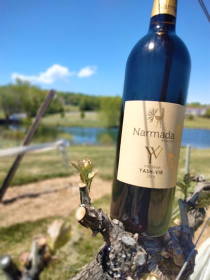 Vertical Tasting Series - Yash-Vir February 22nd, 2026