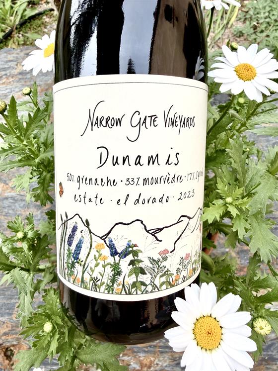 2023 Dunamis, Estate