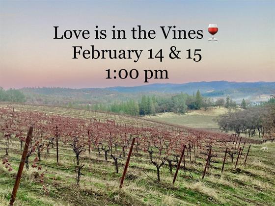 Valentine Love is in the Vines 2026
