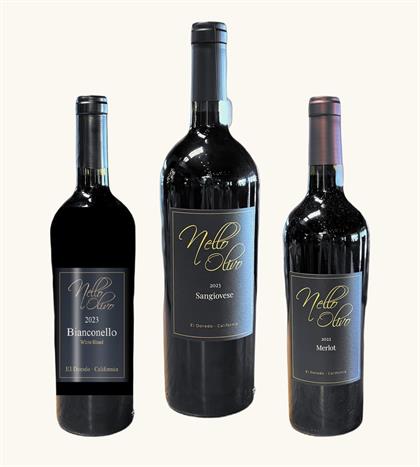 Cellar Tasting (Full Case)