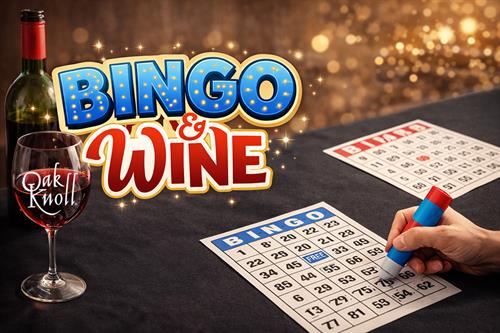Bingo & Wine - April 24th