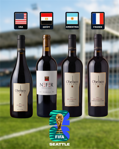FIFA World Cup 4 Pack Special (Syrah, Malbec, Nefer BDX, Cabernet)