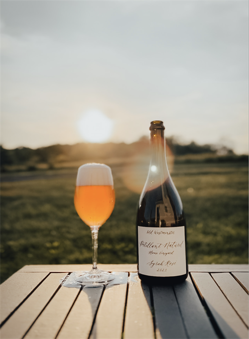 2021 Pet Nat Syrah Rosé
