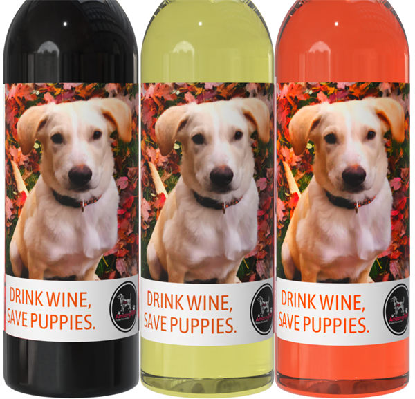 Amazing Mutts 3 Bottle Wine Collection