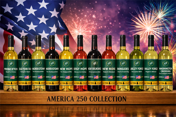 America 250 Collection