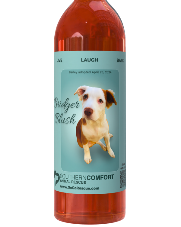 SoCo Rescue Bridger Blush
