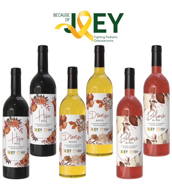 Because of Joey 6 Bottle Wine Collection