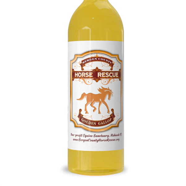 Bergen County Horse Rescue White