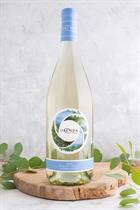 2021 Pinot Gris