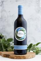 2018 Merlot