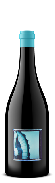2023 OLG Pinot Noir